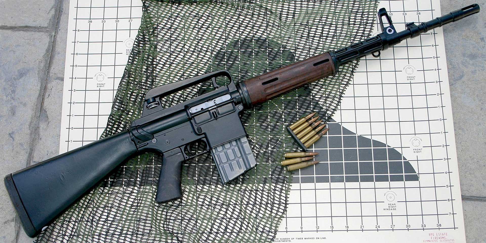 AR-10. 