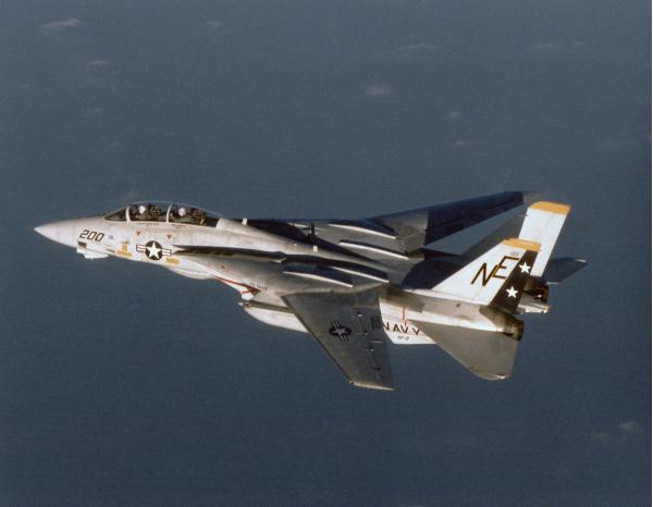 Grumman F-14 Tomcat. Истребитель-перехватчик. (США)